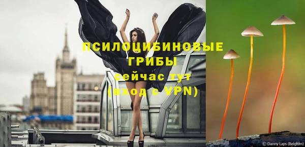 тгк Балахна