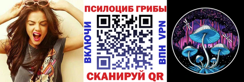 Псилоцибиновые грибы MAGIC MUSHROOMS  где найти наркотики  Шебекино 