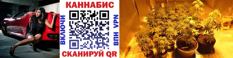 как найти   Шебекино  Шишки марихуана VHQ 
